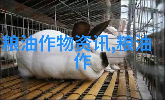 如何撰写苗木花卉市场创业方案一步步指导