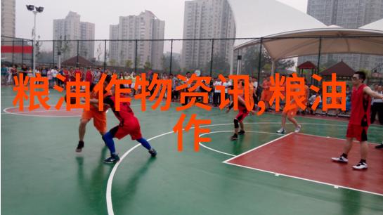 野生长寿花过冬方法 野生乌龟怎么过冬
