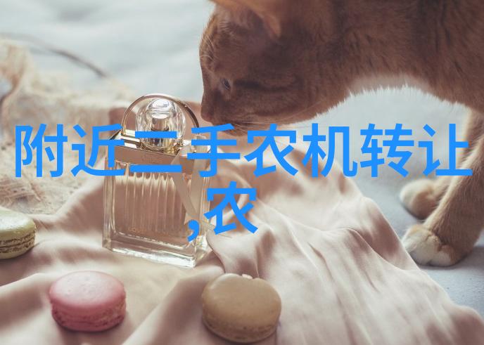 花卉种植基地投资多少钱深入分析与可行性探讨