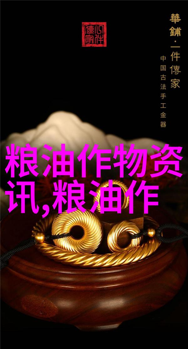 国家发展改革委负责人就乡村全面振兴规划20242027年答记者问
